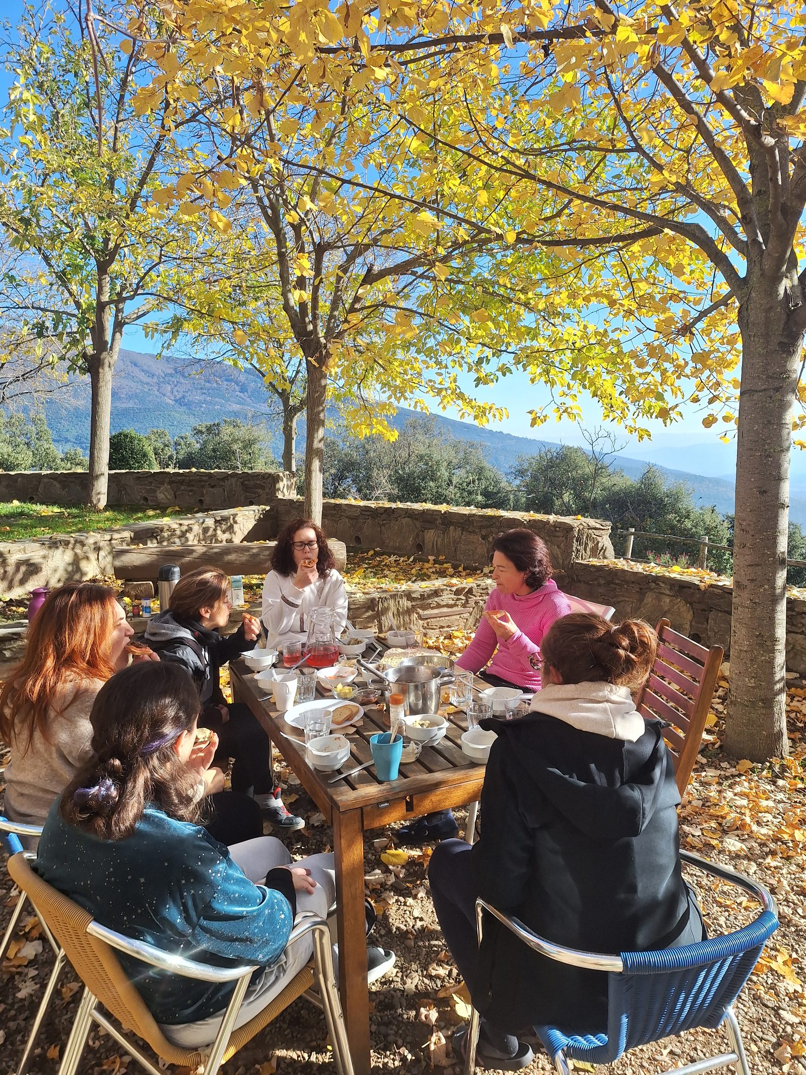 Comida compartida al aire libre bajo árboles en la naturaleza